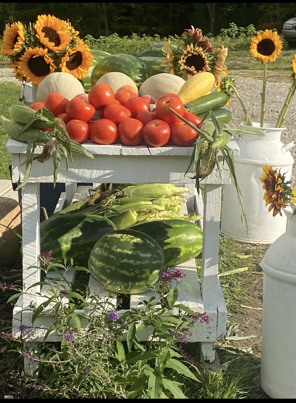 Fresh tomatoes, corn, squash, melons, and sunflowers displayed at Liticia's farm stand
